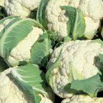 cauliflower-805414_640-150x150