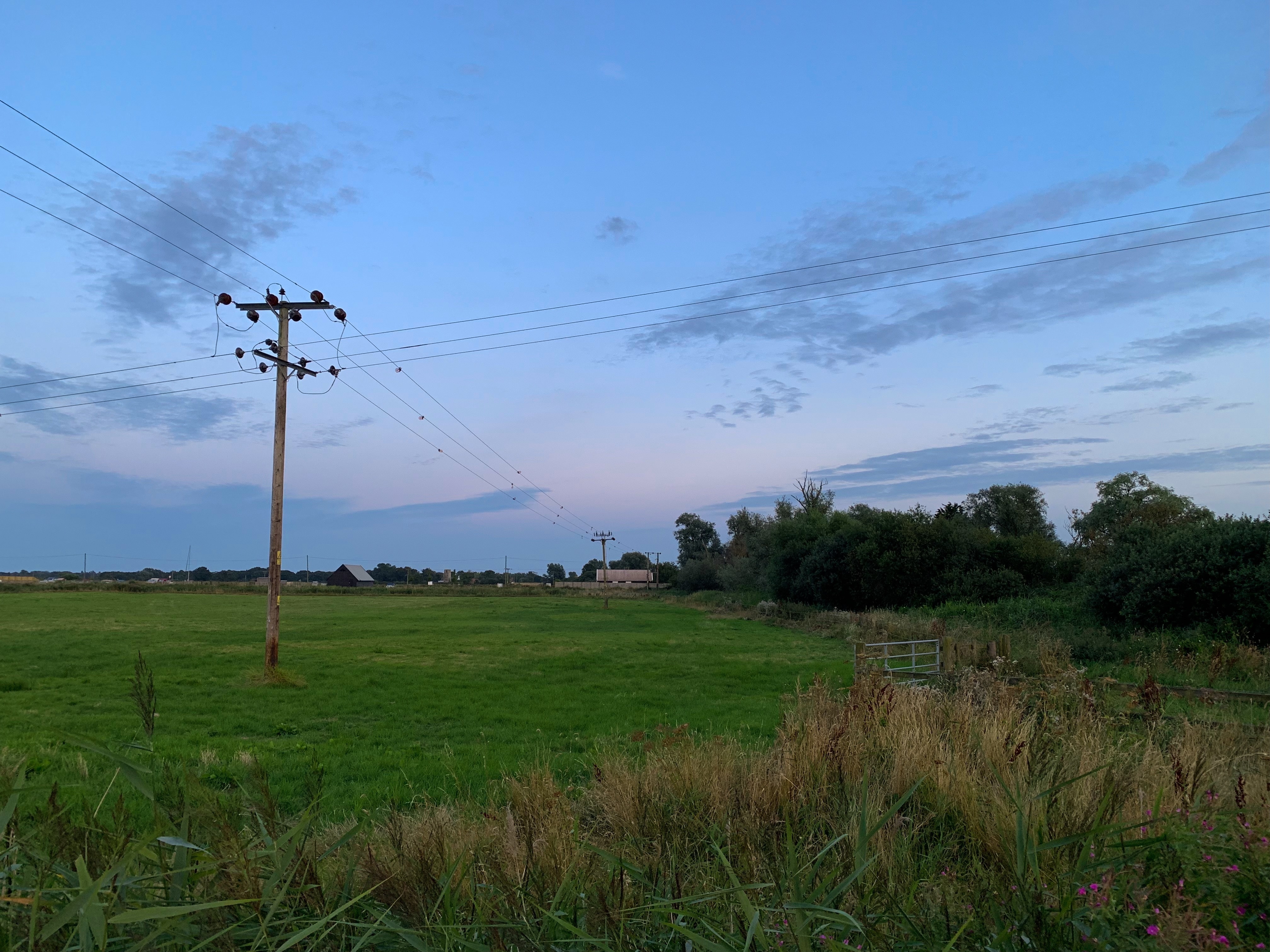 beautiful-shot-green-field-with-cloudy-blue-sky